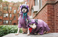 Fitwarm sudadera para perro lavanda, dorso, diseño cómodo para uso diario.