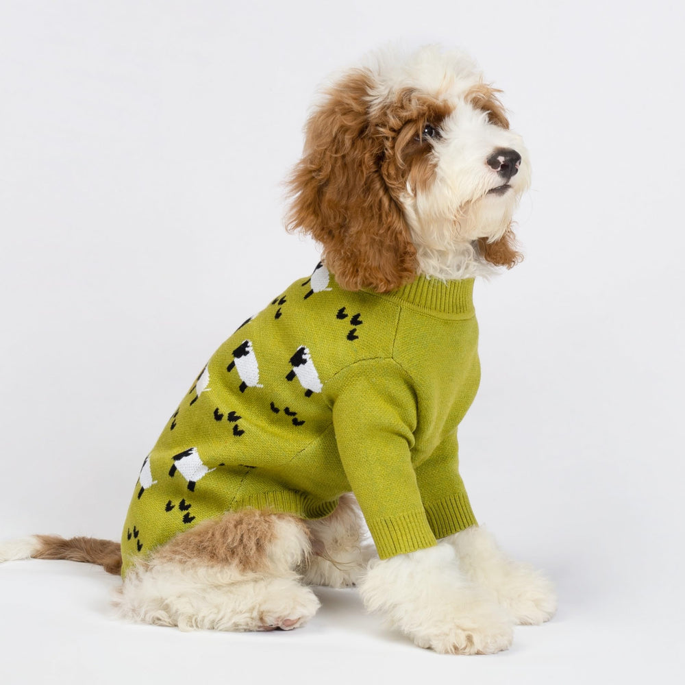 Sudadera Fitwarm para perro con ovejas, vista posterior, mantiene al perro cálido.