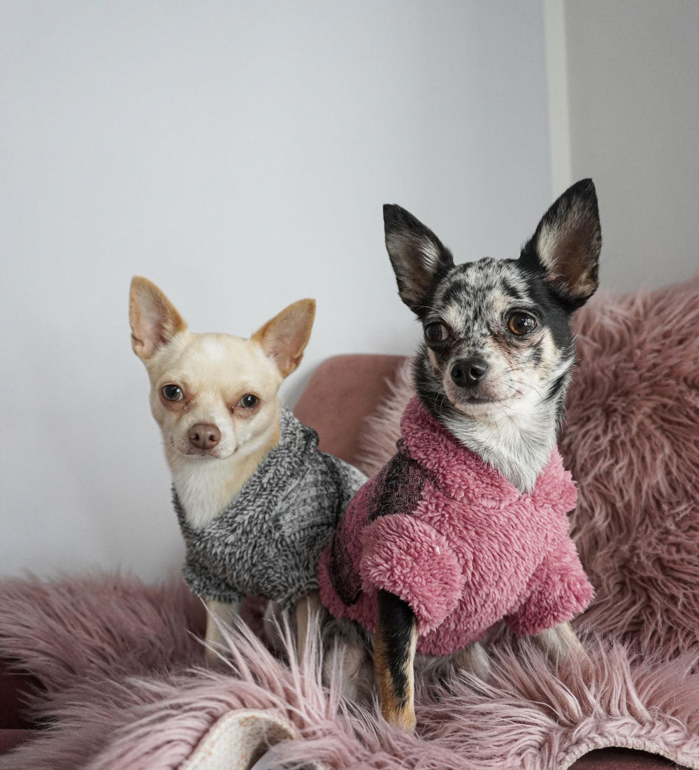 Fitwarm sudadera para perro pequeño capucha negra, diseño cómodo para casa y parque