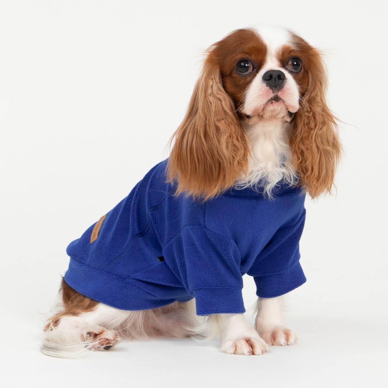 Fitwarm suéter para perro pequeño con cuello alto, ajuste cómodo