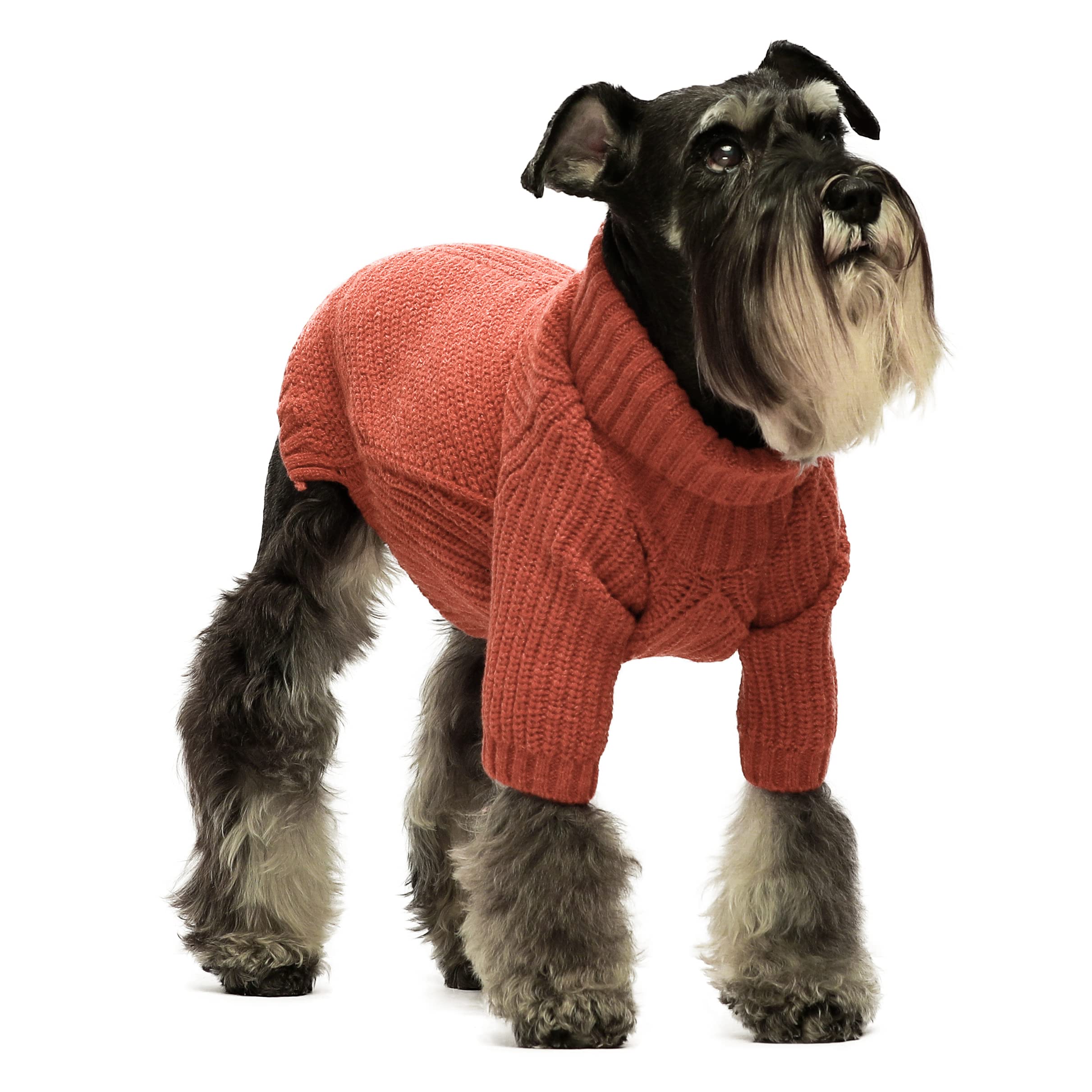 Fitwarm suéter para perro pequeño, vista frontal, cálido y cómodo para paseos diarios.