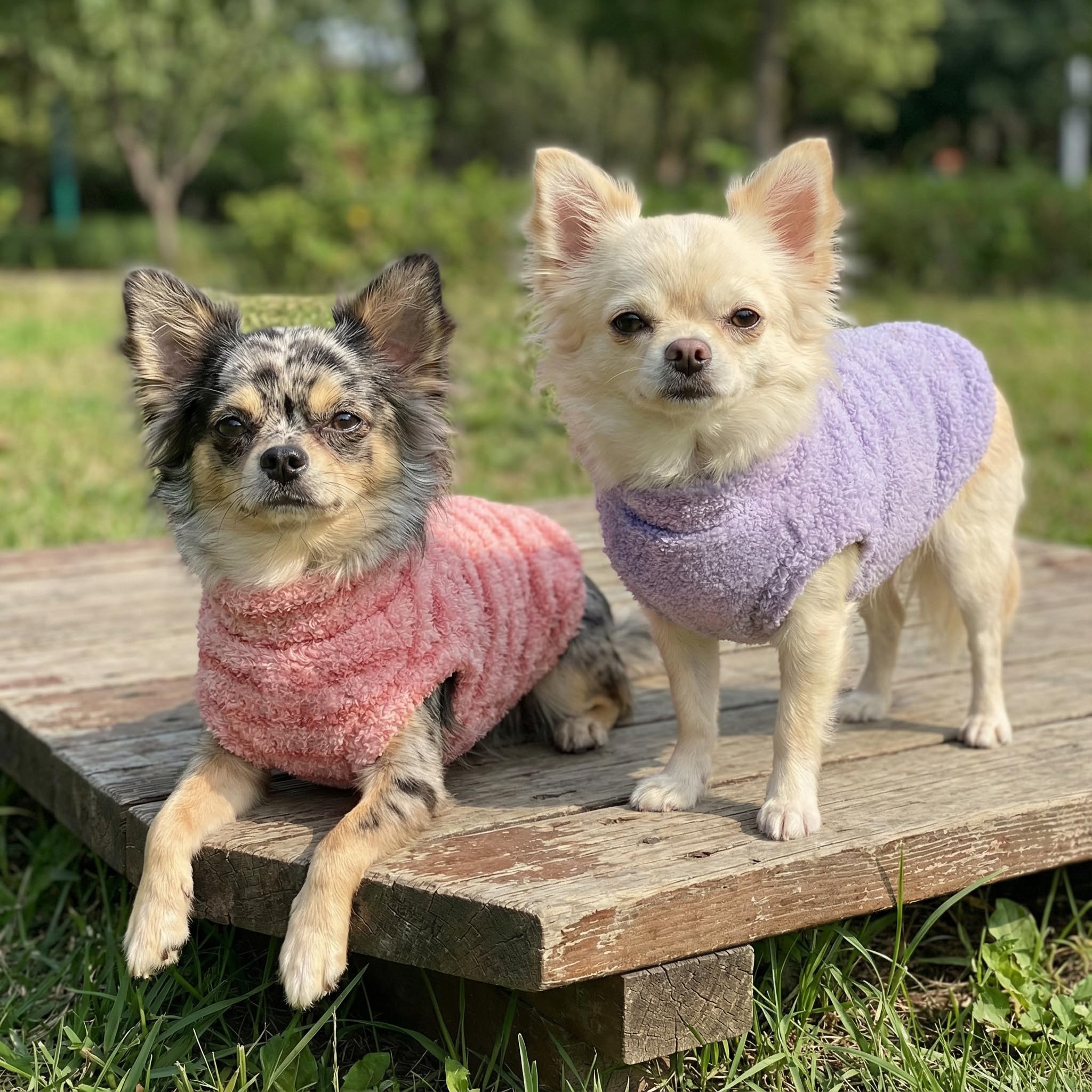Fitwarm sudadera rayas púrpuras y rosas, tejido suave para mascotas pequeñas.