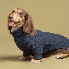 Fitwarm suéter para perro, cuello tortuga, detalle trasero y ajuste