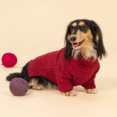 Fitwarm sueter perro detalle cuello alto, resalta tejido suave.