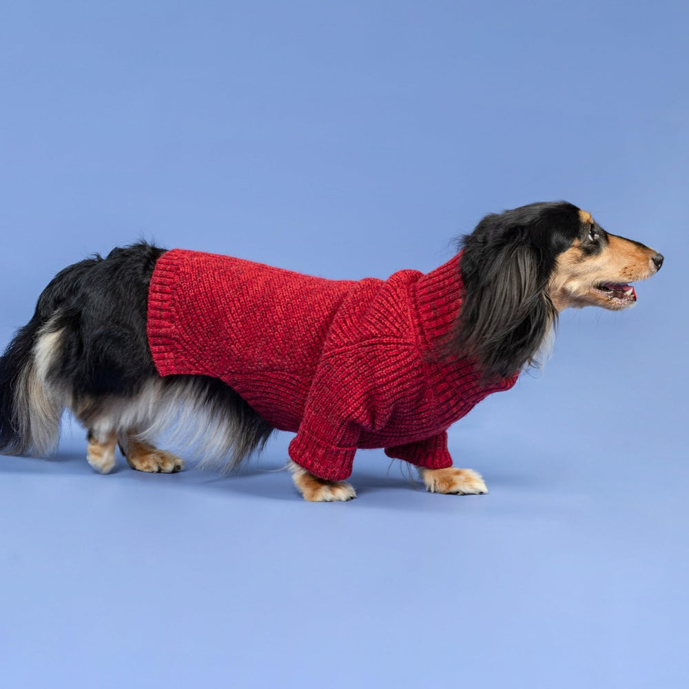 Fitwarm suéter para perro, fácil de poner, práctico