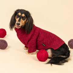 Fitwarm suéter para perro, pecho visto, ajuste cómodo para movimientos