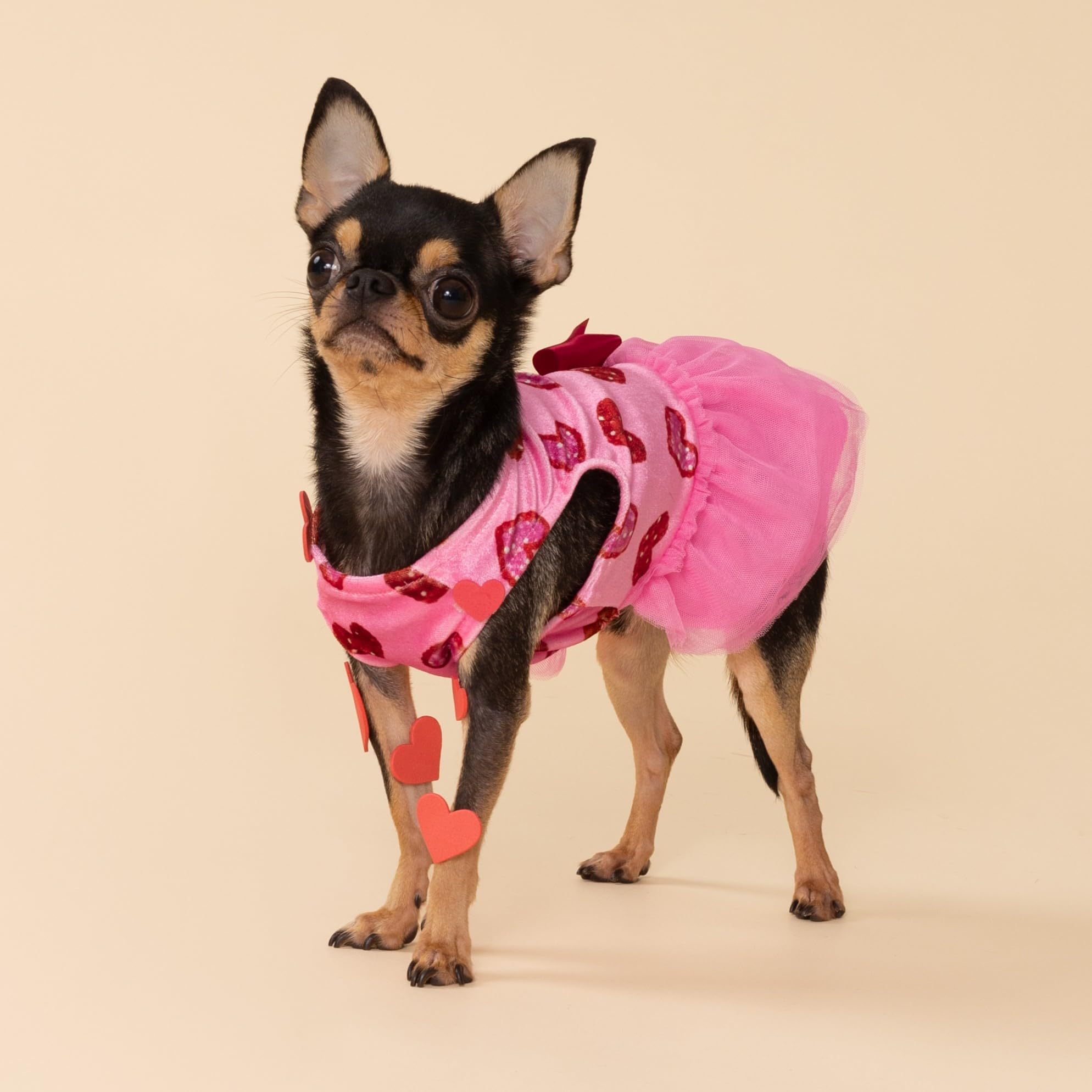 Fitwarm tejido poliester suave mantiene al perro cómodo durante el día.