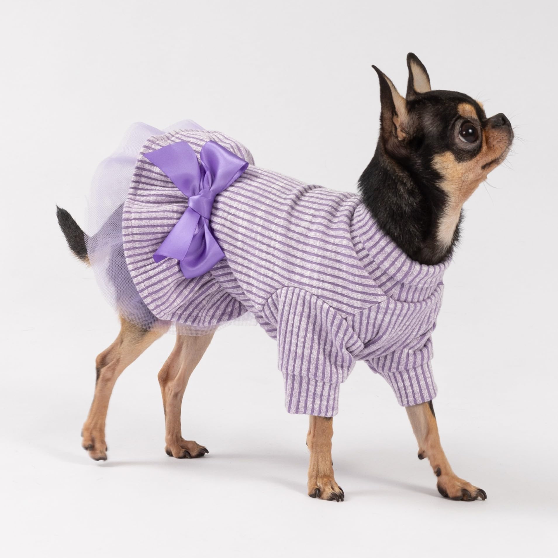 Tejido suave y cálido para paseos diarios del perro.