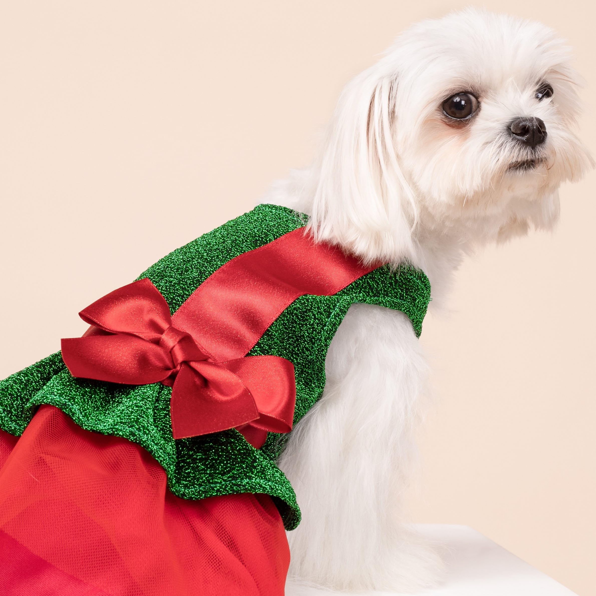 Fitwarm disfraz navideno para perros lazo rojo: toque adorable para fotos.