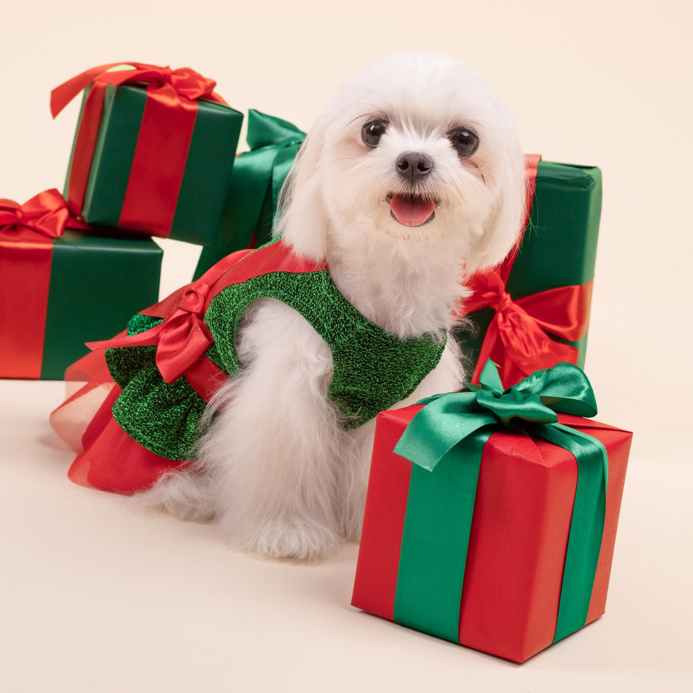 Fitwarm disfraz navideno para perros tela verde brillante: aspecto festivo.