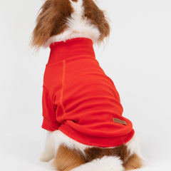 Fitwarm trío de suéteres para perros en azul, cálidos y ligeros para caminar
