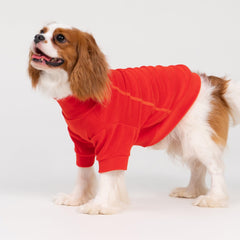 Fitwarm trío de suéteres para perros en naranja, diseño llamativo para fotos