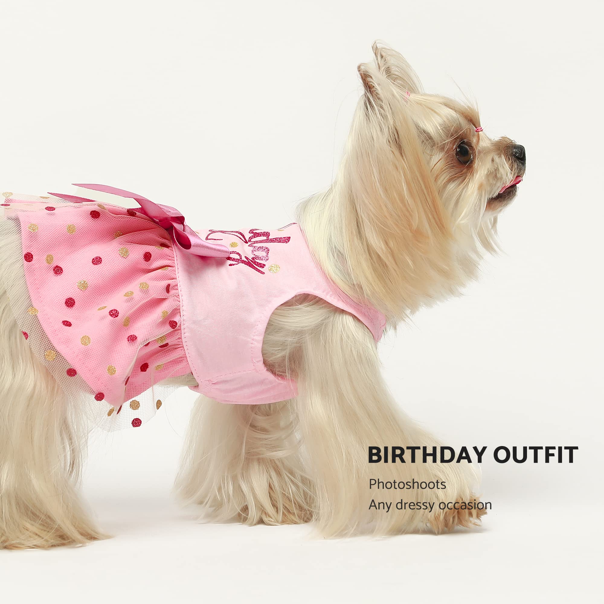 Tul rosa con puntos dorados, detalle festivo para perro Fitwarm.