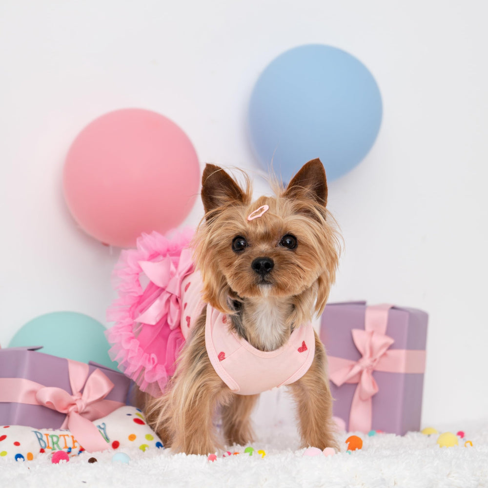 Vestido de cumpleaños Fitwarm, ideal para celebraciones con perros.