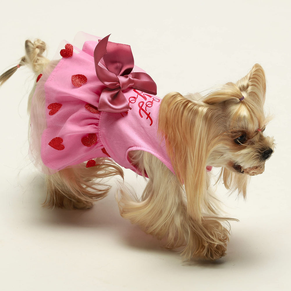 Tutu rosa de Fitwarm para perro, volumen suave y festivo