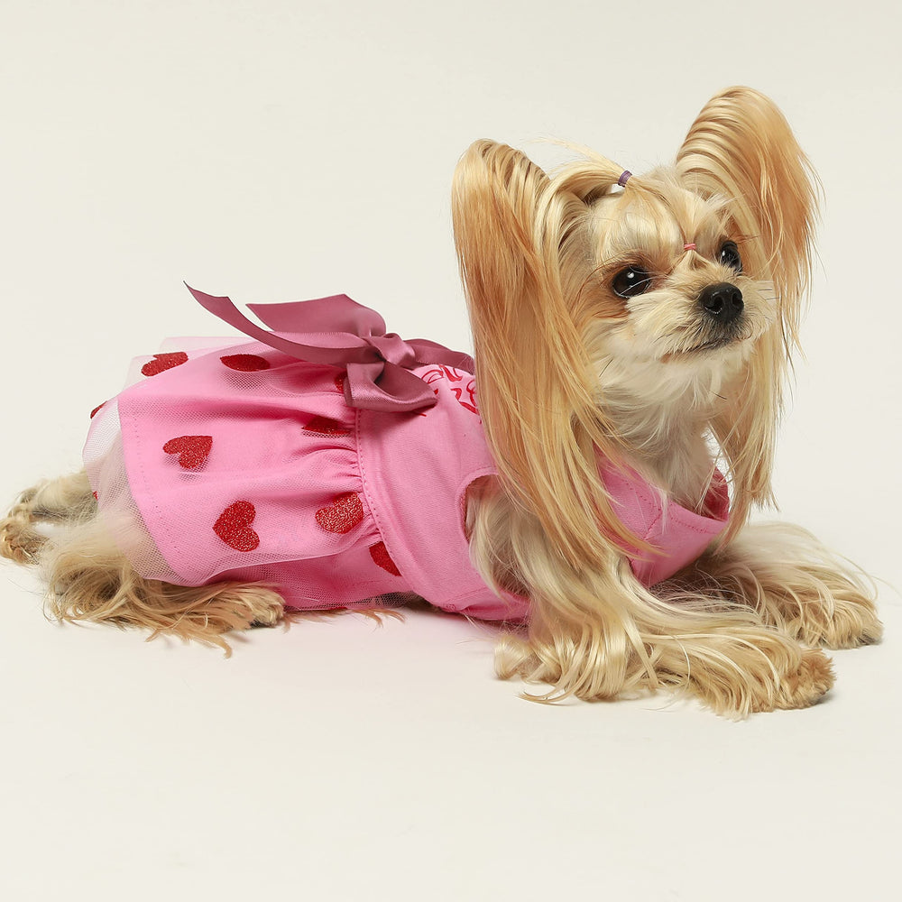 Vestido Fitwarm adecuado para bodas, fiestas y sesiones de fotos caninas