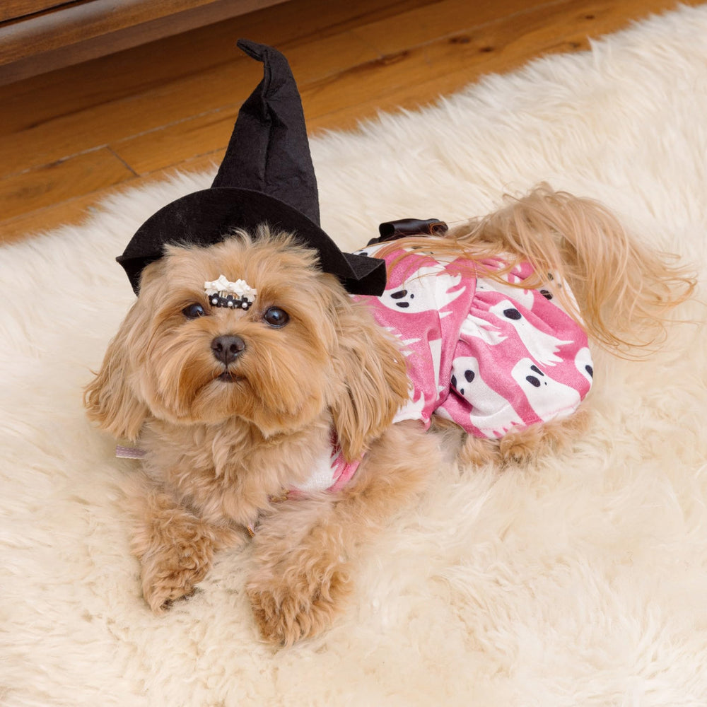 Vestido Halloween para Perro Fitwarm dorso con estilo fantasma.
