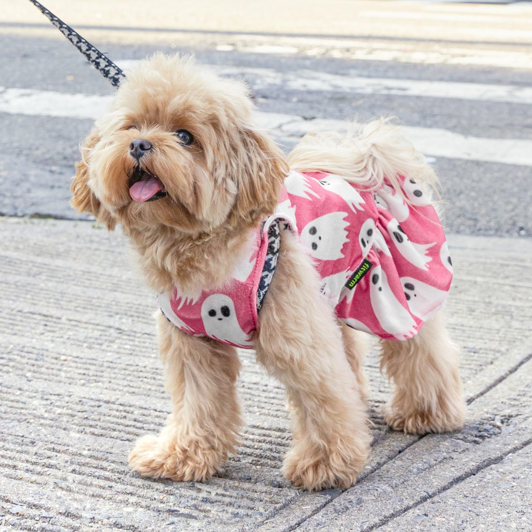 Vestido Halloween para Perro Fitwarm estampa fantasma para desfiles.