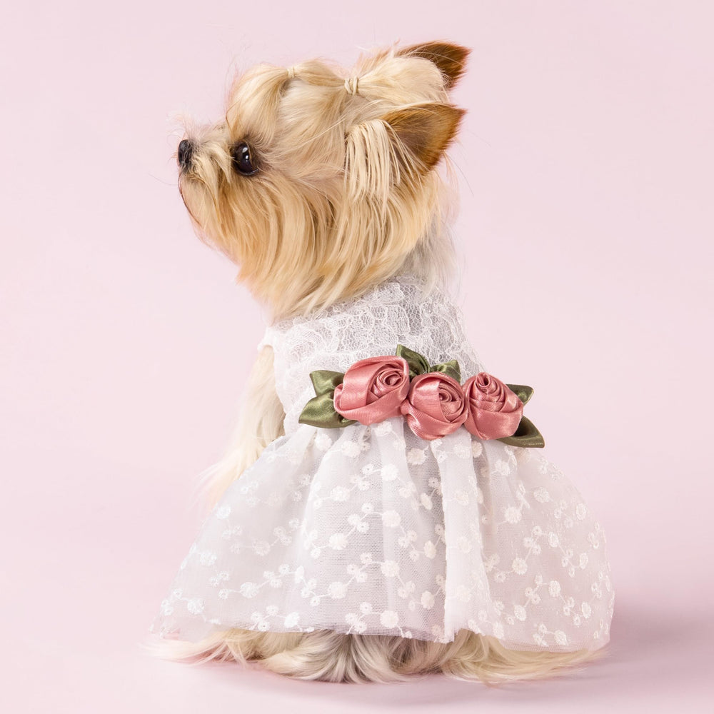 Vestido canino de boda con vista frontal, aspecto elegante
