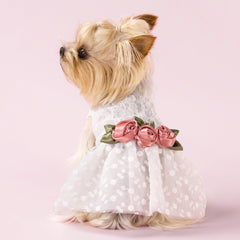 Vestido canino de boda con vista frontal, aspecto elegante