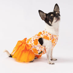 Fitwarm vestido-perro-calabaza estampado-flor-detalle, perfecto para celebraciones