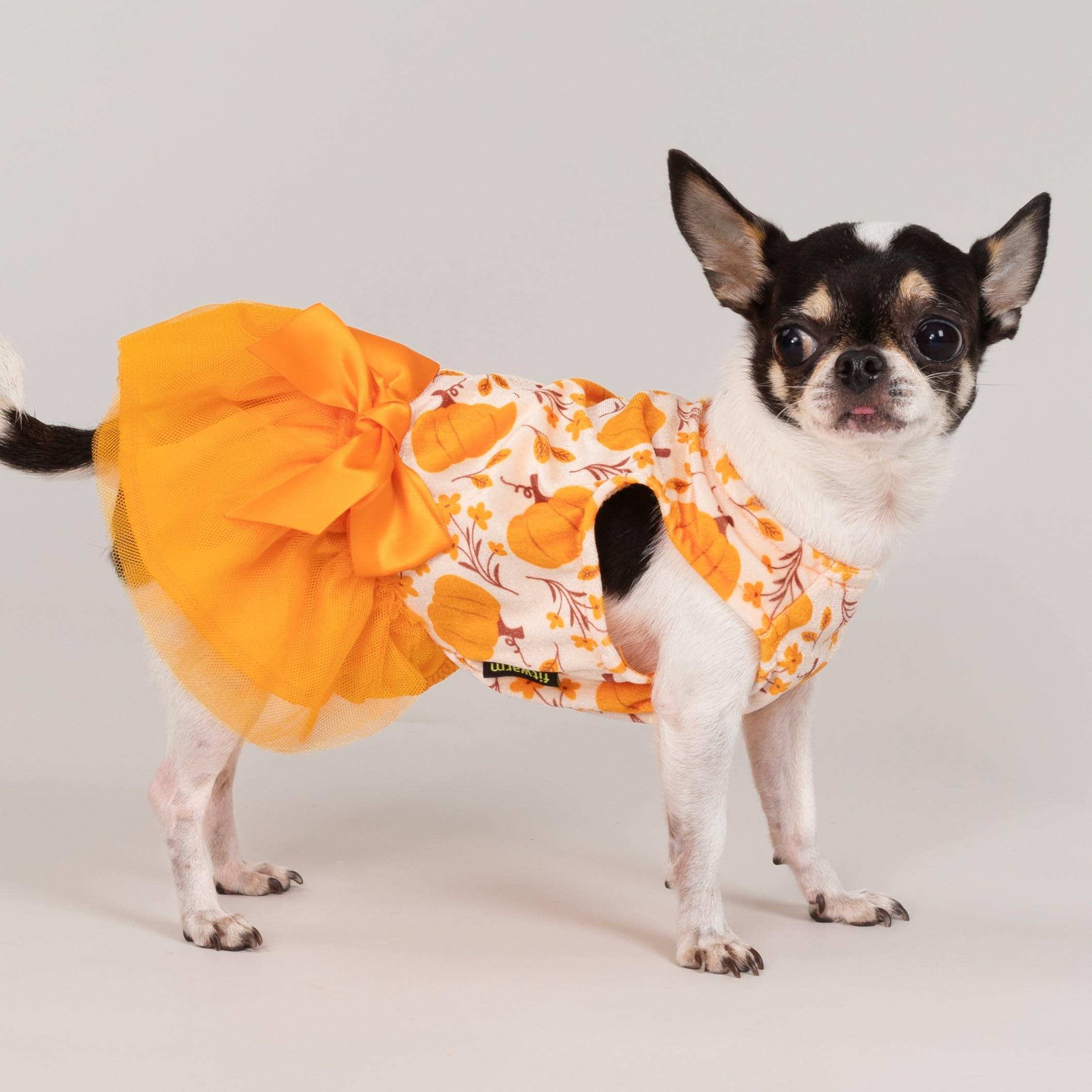 Fitwarm vestido-perro-calabaza falda-tul-naranja, aporta estilo festivo