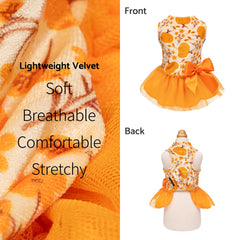 Fitwarm vestido-perro-calabaza lazo-satinado-cintura, toque elegante