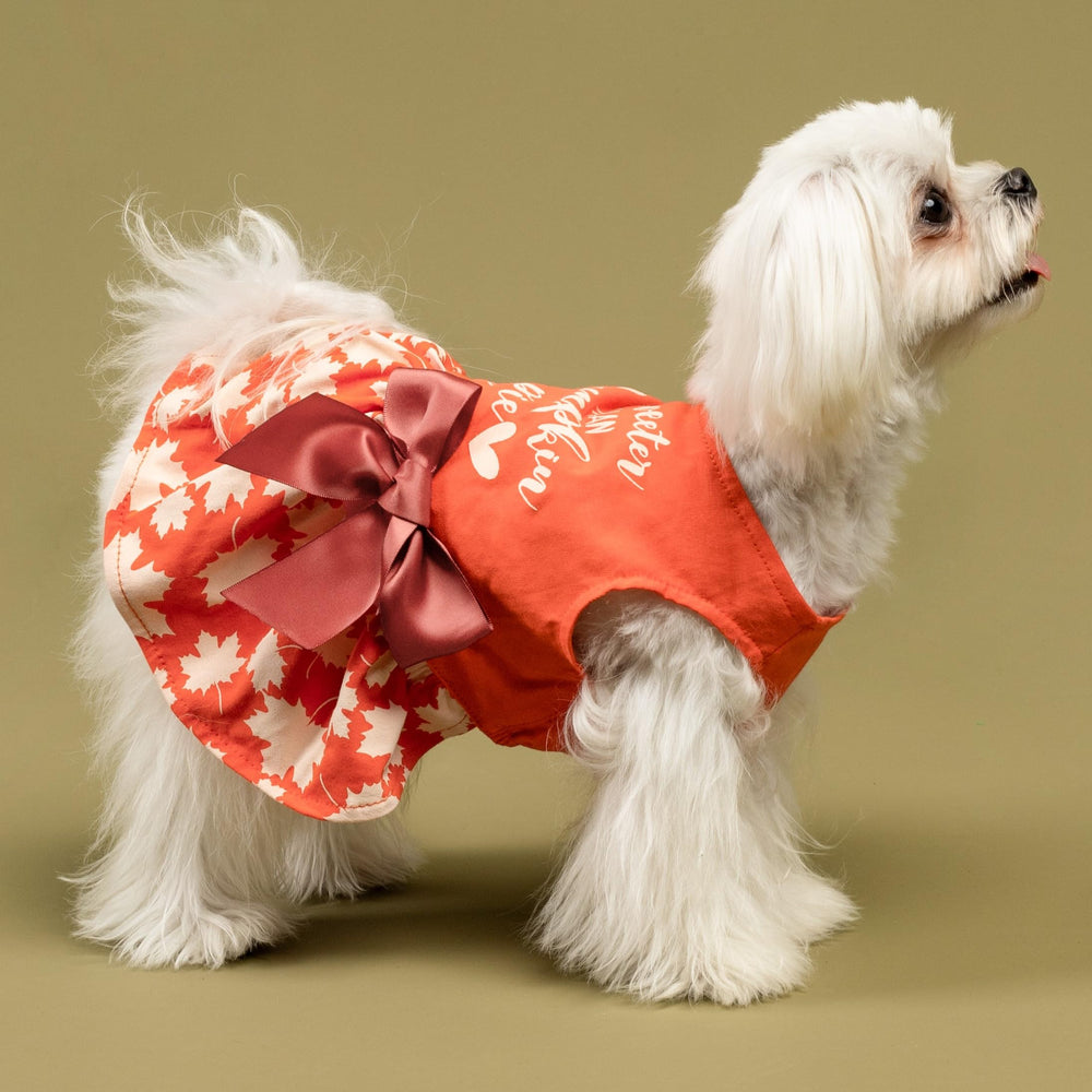 Vestido con lazo de Fitwarm, fácil de poner para mascotas pequeñas.