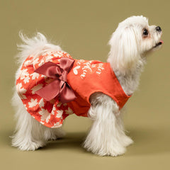 Vestido con lazo de Fitwarm, fácil de poner para mascotas pequeñas.