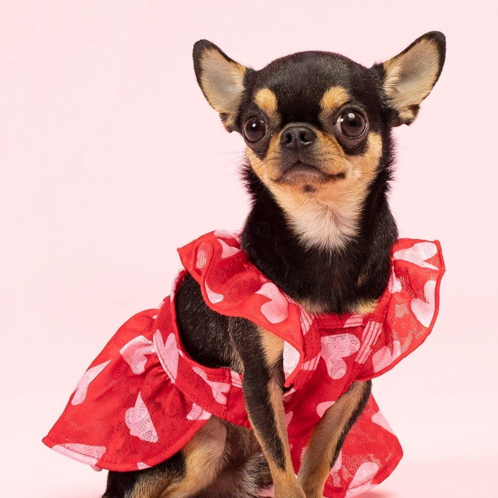 Vestido Fitwarm para perro con mangas volante y corazones, cómodo.