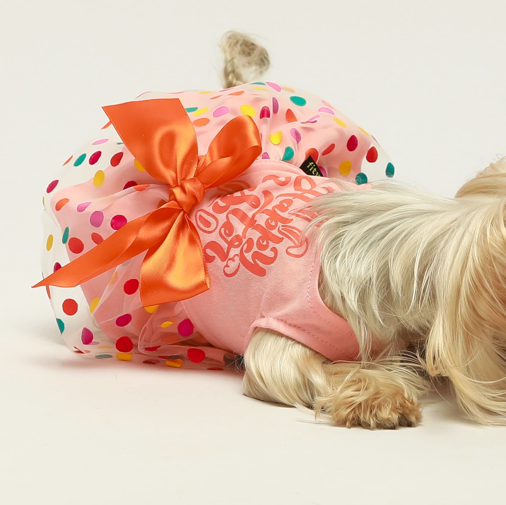 Fitwarm Vestido perro Pascua con lazo: elegante y cómodo para eventos.