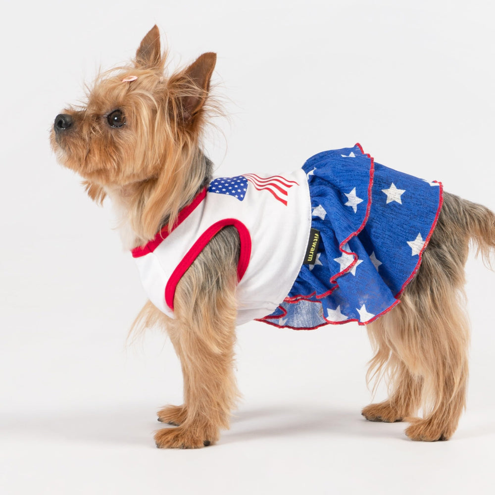 Vestido patriótico para perros Fitwarm, espalda con lazo y estilo elegante