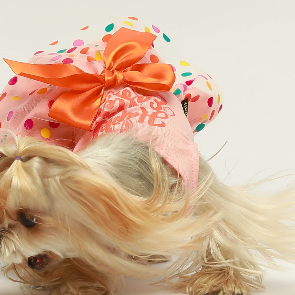 Vestido para perro Fitwarm tutu naranja, estilo festivo para Pascua.
