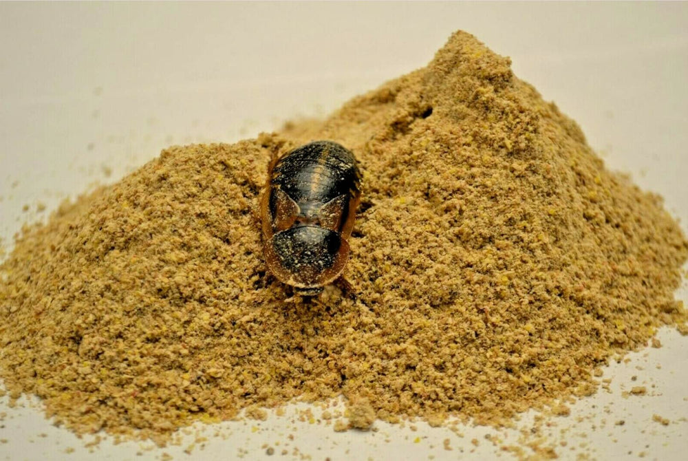 Five-Star Feeders Roach Chow con calcio añadido para nutrición equilibrada