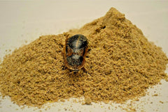 Five-Star Feeders Roach Chow con calcio añadido para nutrición equilibrada