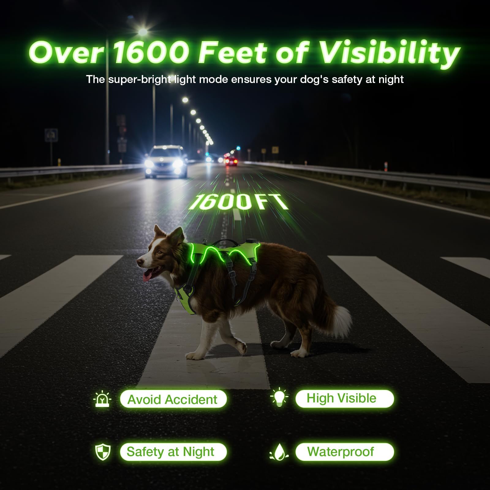 Arnés Fiveda con luz LED trasera para control suave durante paseos