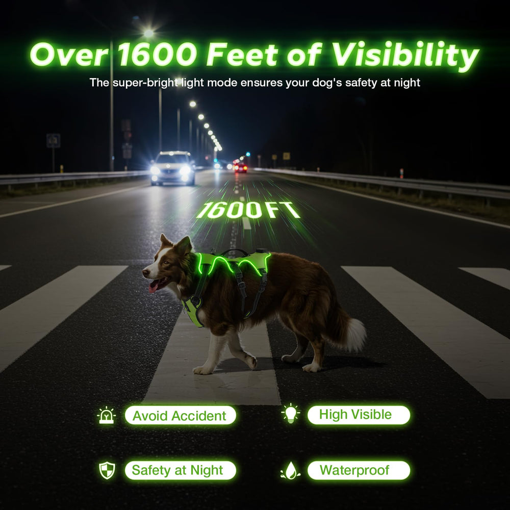 Arnés Fiveda con luz LED trasera para control suave durante paseos