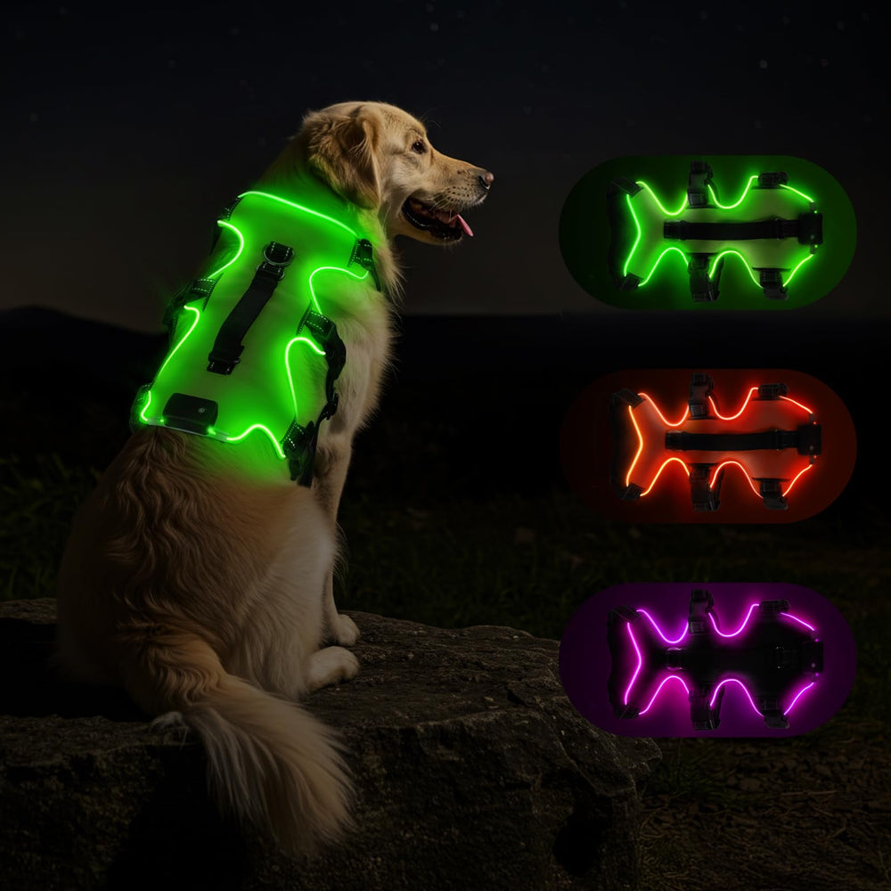 Arnés Fiveda con luz LED frontal para mayor visibilidad nocturna