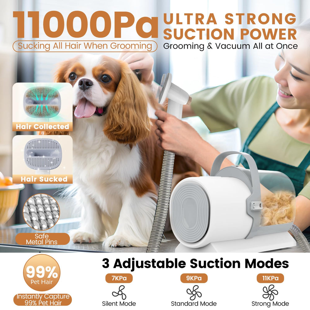 FIXR aspiradora para perros, 11000Pa, con filtro HEPA