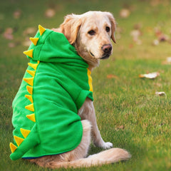 FLAdorepet forro fleece suave en color verde para perro.