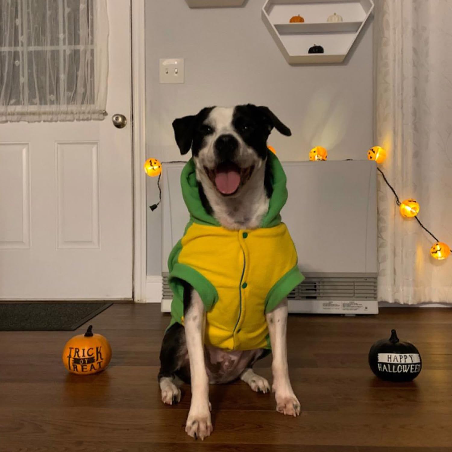 FLAdorepet medidas 8XL para perro grande, ajuste seguro.