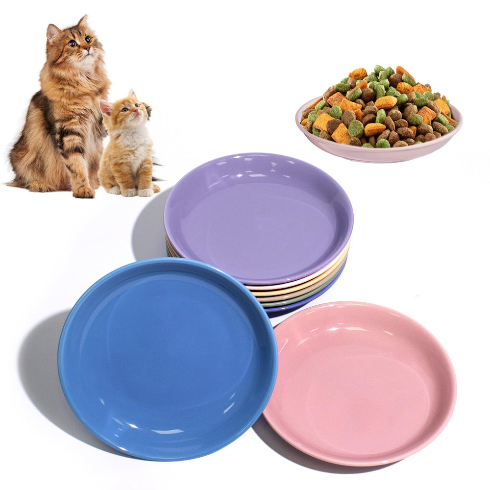 FlaggeZG juego de 8 platos cerámicos para gatos, colores vivos para estimular el apetito