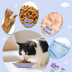 FlaggeZG platos cerámicos sin plomo y cadmio para gatos