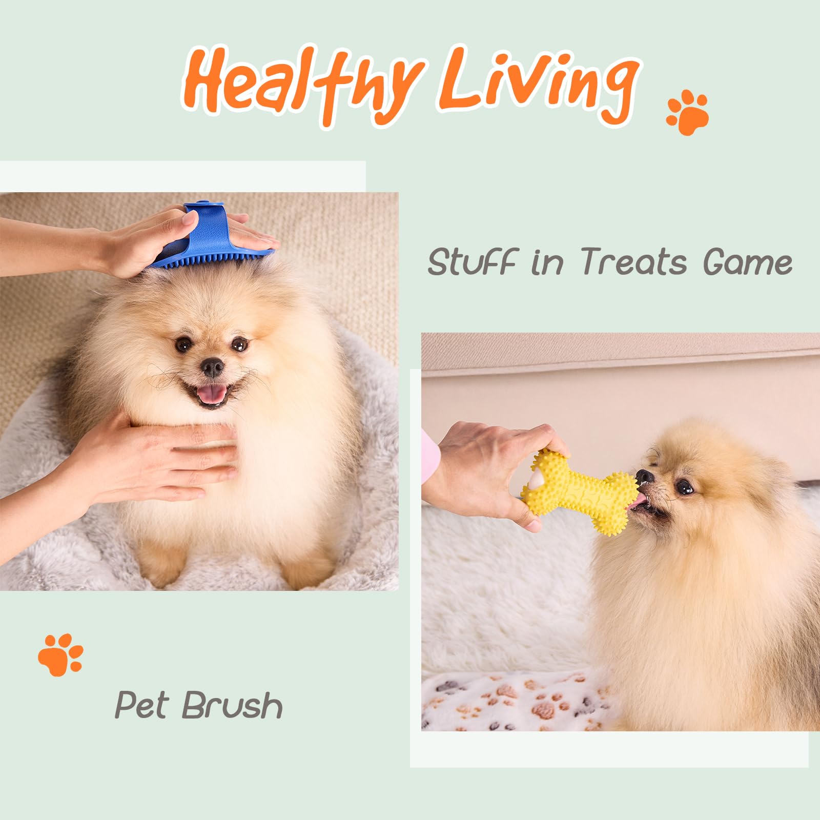 Flair Gifts kit nuevo cachorro con adorno acrílico para recuerdos