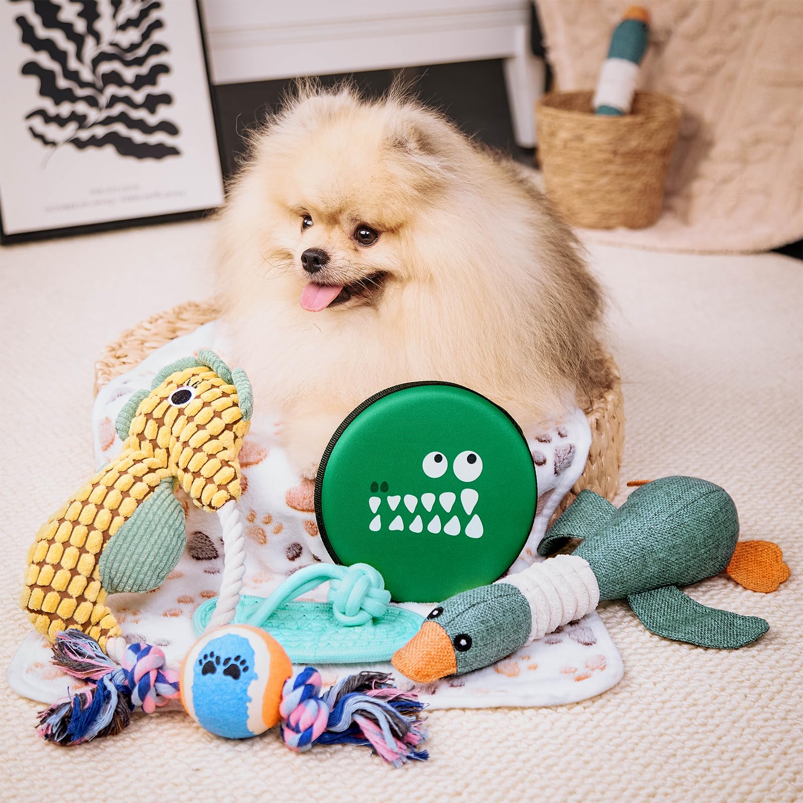 Flair Gifts kit nuevo cachorro con frisbee para diversión al aire libre