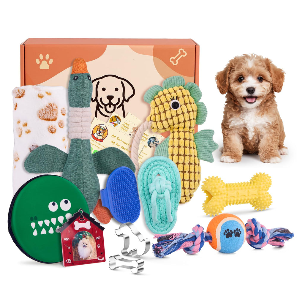 Flair Gifts kit nuevo cachorro con juguetes plush para juego suave y seguro