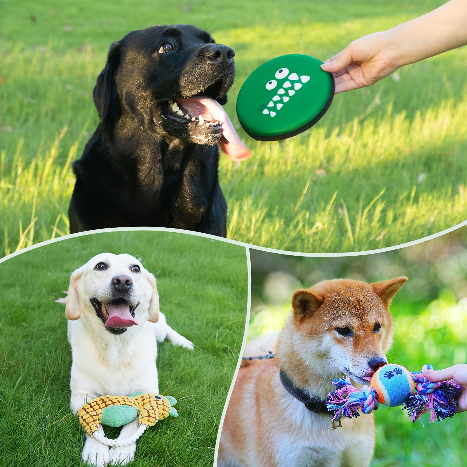 Flair Gifts kit nuevo cachorro con recetas caseras para galletas saludables