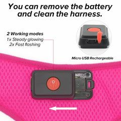 Flashseen arnés LED para perros con dos modos de iluminación para mayor versatilidad