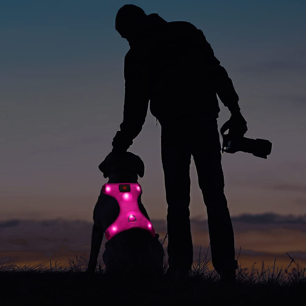 Flashseen arnés LED para perros para caminatas nocturnas con alta visibilidad
