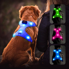 Arnés Flashseen LED iluminado frontal, ideal para visibilidad nocturna.